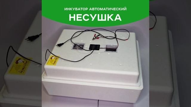 Инкубатор Несушка 104