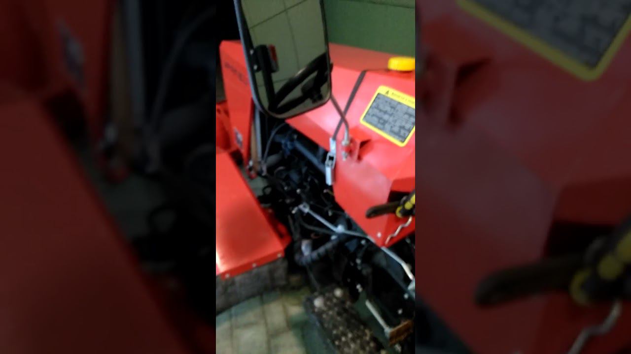 Из сугроба на виноградник! Зайдет?