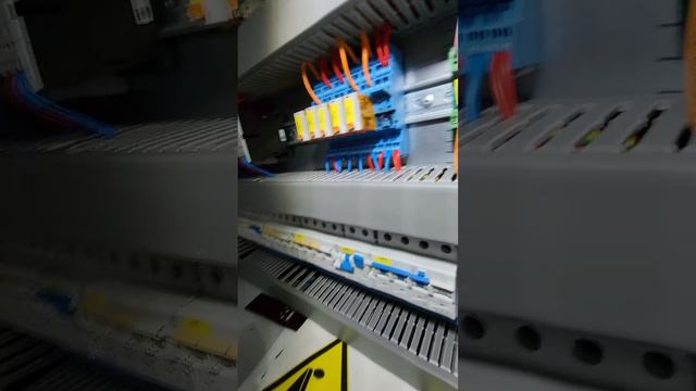 Копченный