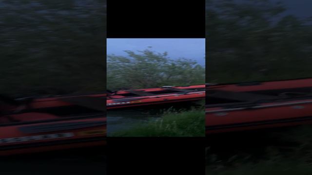 31-07-2024