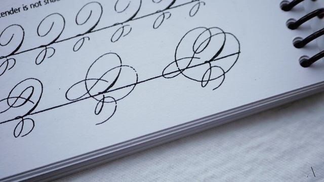 Calligraphy books: Learning to Write Spencerian script