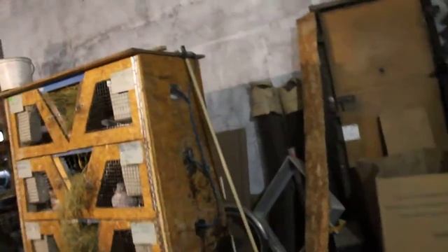 сарыкольский кролик 4 топим печь навозом