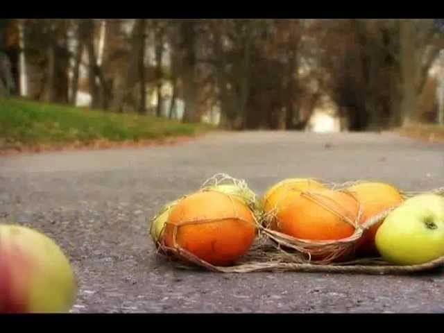 Пожилые люди (4)