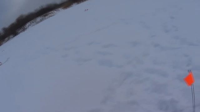 Речные приключения! Щука загоняла! Полосатые гнут удочку! Рыбалка в Липецкой области!
