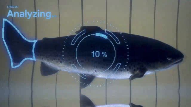 fortum_fishheart_casefilm