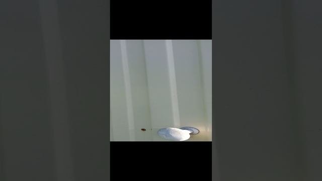 Лерик