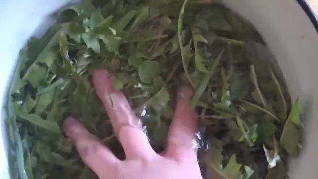 Сделала кальцисмесьУборка у улиток ?