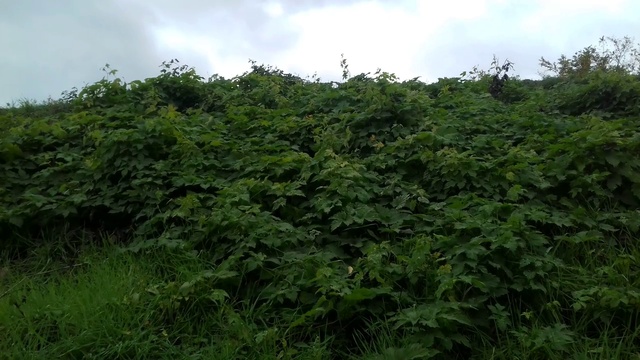ОСЕНЬ В МАЛЕНЬКОМ ГОРОДЕ