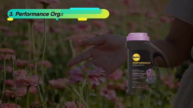 Best Miracle Gro Bloom Booster Reviews