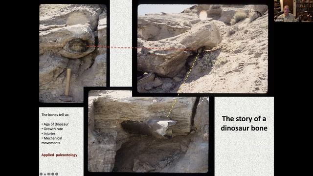 Applied Paleontology (02/10/2023) Charles E. Miller, Jr. PhD