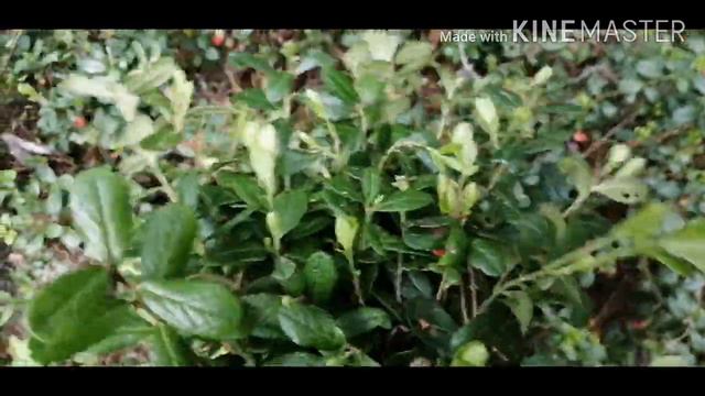 Деревенька...там, где тихо, тепло и хорошо.)