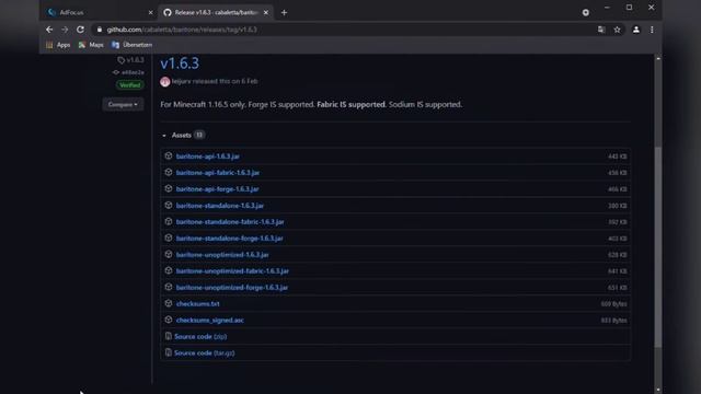Minecraft Autominer 1.16.5 \\ Forge \ Baritone