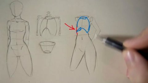 Как нарисовать аниме тело и торс