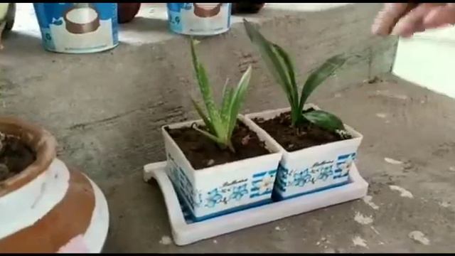how to make pots from waste material. nature savetheworld environment naturelovers plants