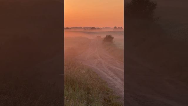 Беларусь 🇧🇾