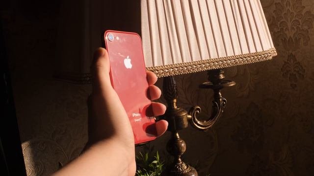 1 день с iPhone SE 2020 в 2024 году САМЫЙ ВЫГОДНЫЙ SE!