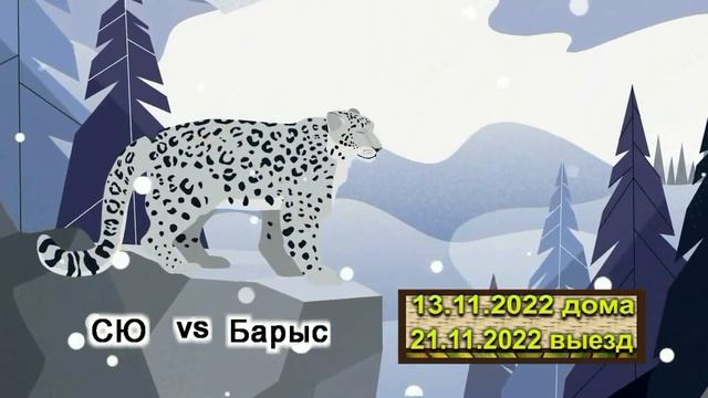 Календарь игр СЮ ноябрь 2022