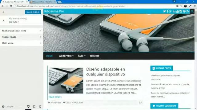 [WordPress] Customizing the theme header 'Ribosome Pro'