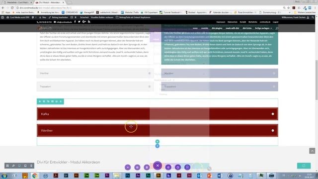 Divi Modul - Akkordeon