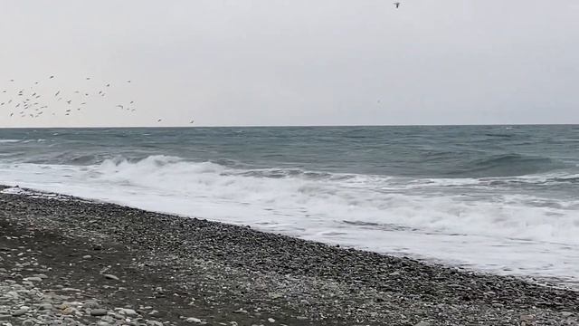 27.03.2022. Погода в Сочи в марте. Смотри на Чёрное море каждый день.