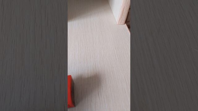 1000001256.mp4