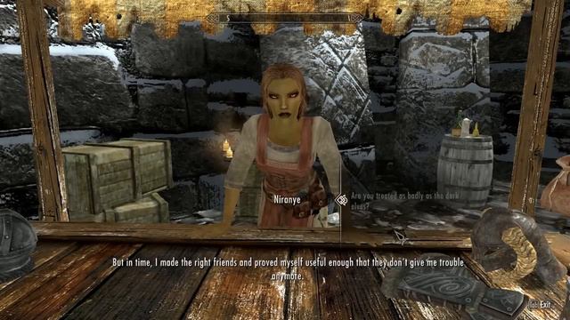 Elders Scroll: Skyrim Niranye High Elf Windhelm