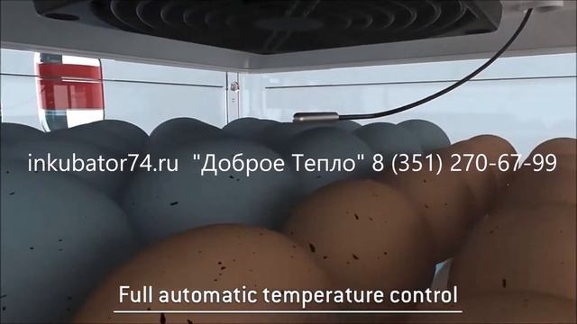 Купить домашний инкубатор автоматический для яиц