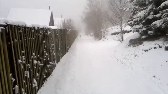 štýrská braka  10 měsíců