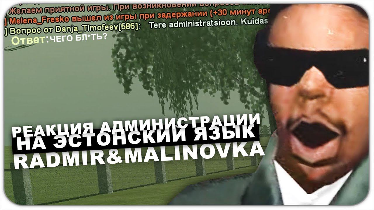 ПИШУ АДМИНАМ и ИГРОКАМ на СВОЕМ РОДНОМ ЯЗЫКЕ - RADMIR RP  & MALINOVKA RP