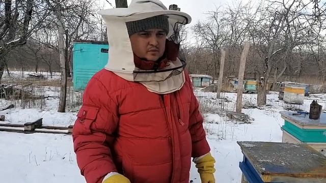 Белковая подкормка пчёлам. 9 марта 2021 года.