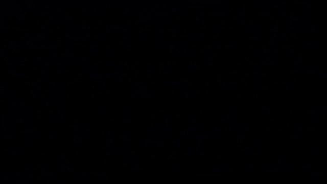 Водные растения6 Декоративные растения