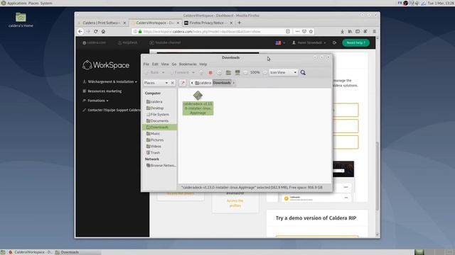 CalderaRIP installation on Linux: #1 Installing CalderaDock on Debian