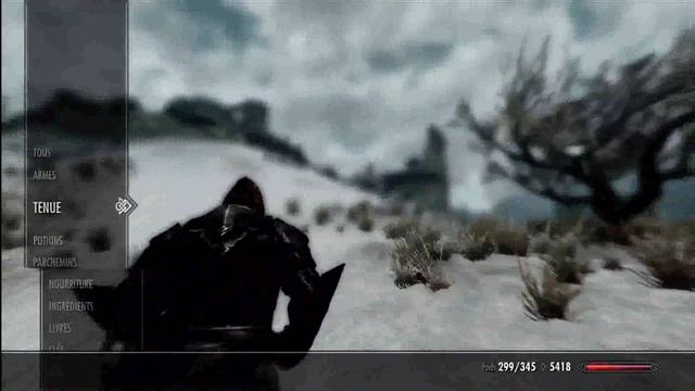 UN CLASH ENTRE UN ARGONIEN ET DES CHEUVEAUX ?  skyrim