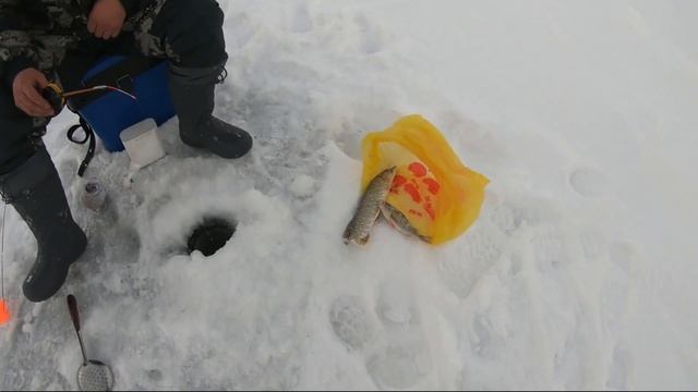 Турнир по рыбалке на Сергеевском водохранилище в 2019 году