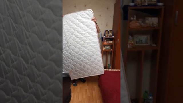 Отзыв о матрас Sontelle Libre Roll 6 и магазине «Анатомия сна»