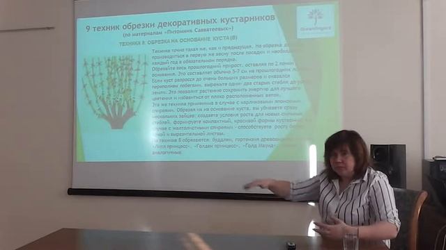 Формировка декоративных кустарников в саду
