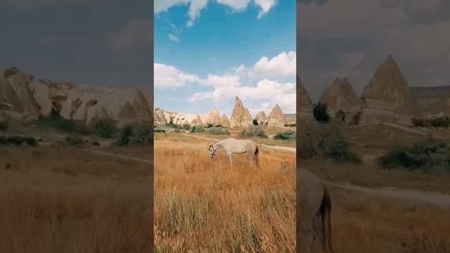 Релакс...