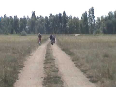 Деревенская дорога / Новоивановка 2008
