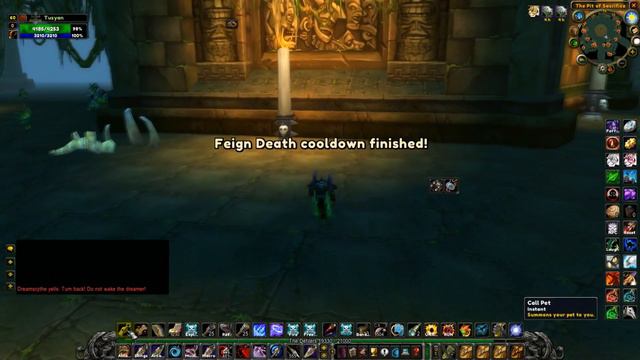 WoW Classic: The Green Drake quest solo