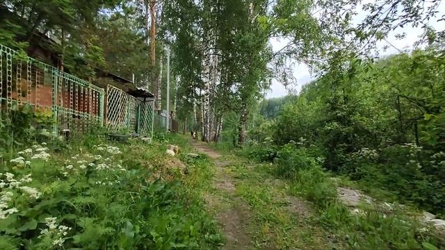Земельный участок 4.16 соток в СНТ Медик улица Болотная