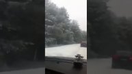 Приключения на Украине