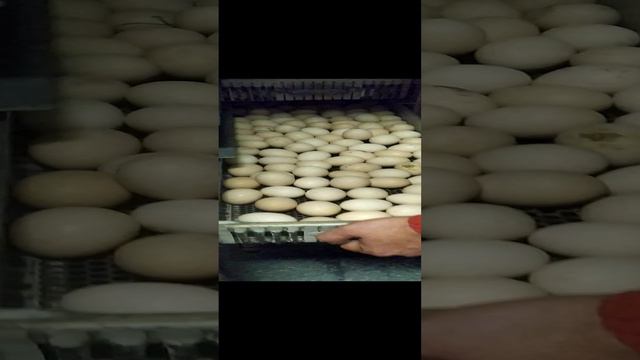 VID_20240511_120934.mp4