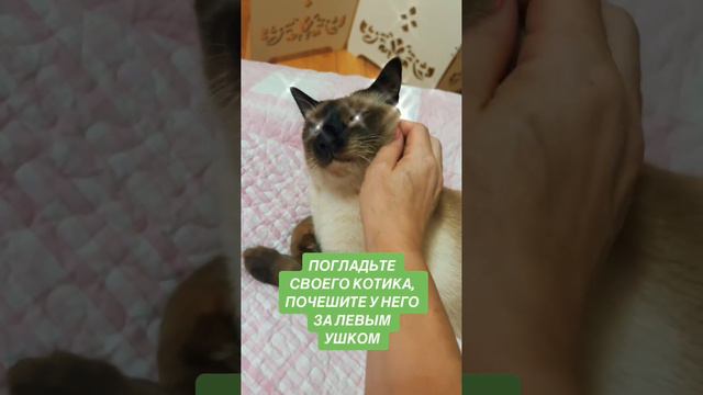 Если нужно сделать выбор?