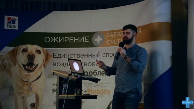 Интервенционная радиология и эндоскопия