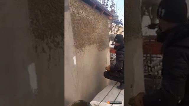 клей кафель дешёвый травентин