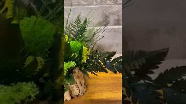 Live pot with ferns and Scandinavian moss