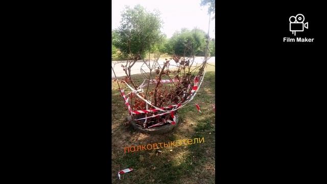 Большой дырке большая палка!