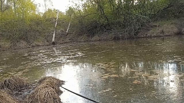 Рыбалка в Сибири на старице на мордушку