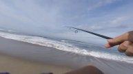 Catching Striped Bass with Berkley Gulp Sandworm