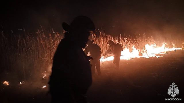 Природные пожары бушуют в ЛНР